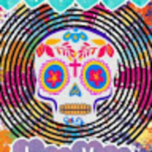 Meet your Posher, Terri